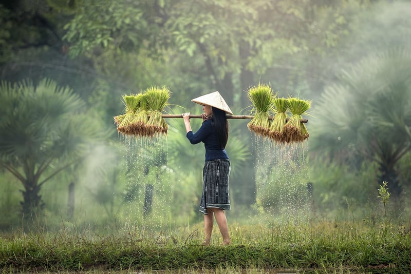 Working Woman